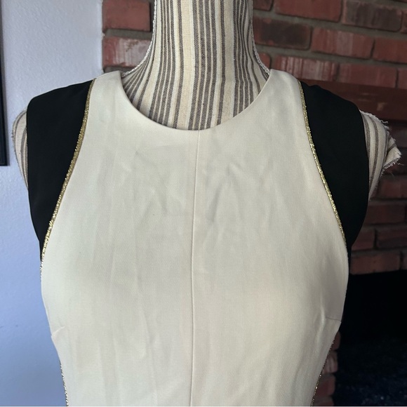 Rag & Bone Dupont Sleeveless Sheath Dress in Ivory/Black Sz 4 - Picture 4 of 10